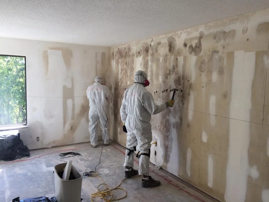 Technicians remediating a mold-affected interior